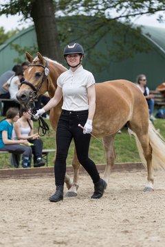 Bild 8 - Pony Akademie Turnier